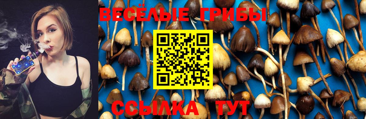 продажа наркотиков  Вход с VPN  Петропавловск-Камчатский  Псилоцибиновые грибы Cubensis  Галлюциногенные грибы MAGIC MUSHROOMS 